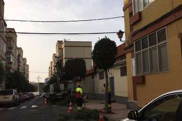 Poda y tratamiento de las zonas verdes de Las Longueras (Foto TA)